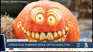 Hamilton's Operation Pumpkin is still on, but there are a few changes this year