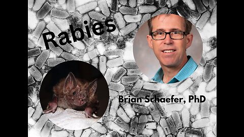 A potential cure for rabies with Brian Schaefer, PhD