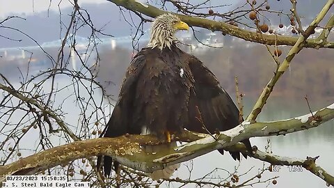 USS Eagles - Irvin drying off 3-23-23 @15:50