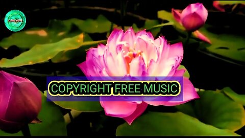 Royalty free Indian instrumental background music for free for content creators.