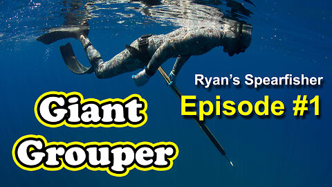 Spearfishing Episode #1 Giant Grouper