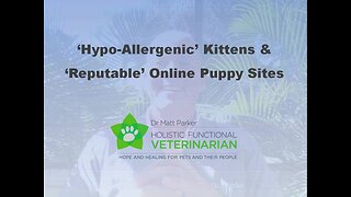 Hypo-Allergenic Kittens & Cats? Reputable Online Puppy Sites?