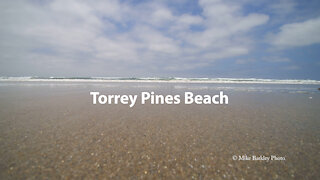 Torrey Pines Beach