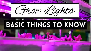 Basic Things To Know About Grow Lights