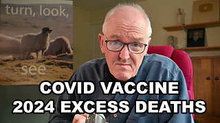 Covid Vaccine 2024 Excess Deaths
