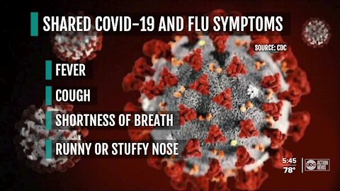 The flu or COVID-19? Doctors weigh in on the illnesses while nearing flu season