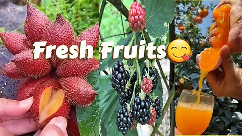 Natural fruits 🍇🍉 amazing fruit gushers 🌳 nature garden प्राकृतिक फल अद्भुत फल प्रकृति उद्यान SFT37