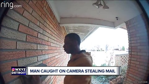 Bold Detroit mail thief checks your door while he's at it