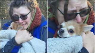 Et emosjonelt øyeblikk der familien blir gjenforenet med sin savnede hund