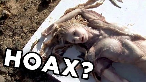 10 Science Hoaxes That Fooled Everyone