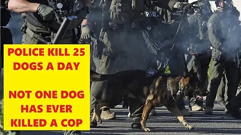 Police Kill 25 Dogs A Day With NO Accountability - - Lorain Police Shoots Lab