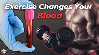 How Your Blood Changes With Exercise