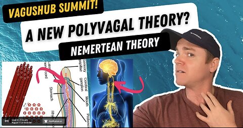 A New PolyVagal Theory - Enter Nemertean Vagus Origin Theory