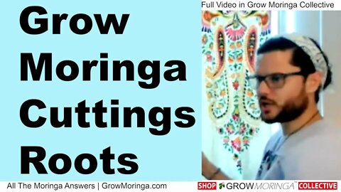 Use Moringa Cuttings at Least 2”Diameter with The Bark to Re-Grow New Roots | Cut at 45 Degree Angle
