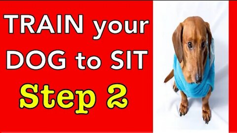 How to train your dog (step -2)