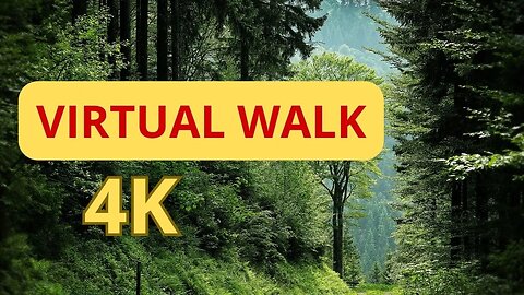 virtual forest walk footage and love romance with romantic backsound