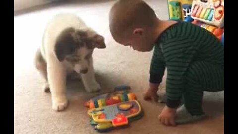 Un lien incroyable unit ce bébé et ce chiot