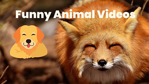 Funny Animal videos 😂|| Funniest Cats and Dogs😻🐶