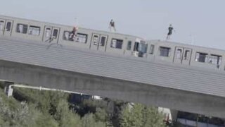 Young men dive off a moving train