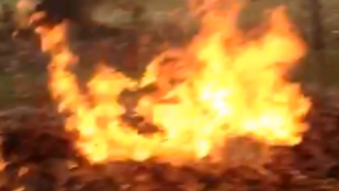 Man Starts An EPIC Backyard Fire