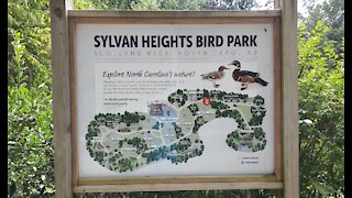 WHE on the Road at Sylvan Heights Bird Park