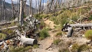 Hiking / Bitterroot National Forrest / Glen Lake Trail