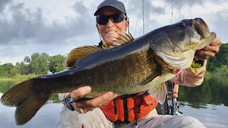 8 Pound Largemouth Bass