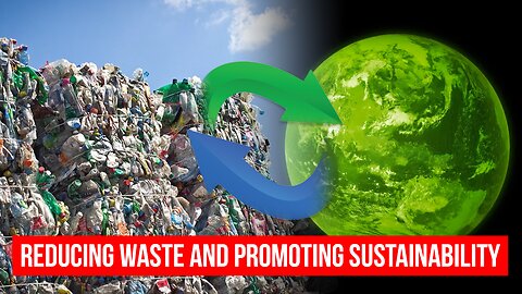 Navigating the Circular Economy: Strategies for Reducing Waste and Promoting Sustainability