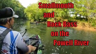 Smallmouth and Redeye, Kayaking the Powell River Part I