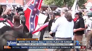 White civil rights rally to take place on Sunday in DC