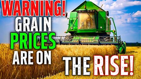 WARNING! Grain PRICES Are On The RISE!