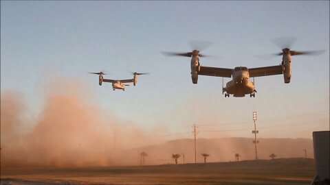 Marines Conduct a Non-Combatant Evacuation Operation (NEO) Exercise - WTI 2-22