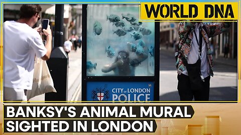 Banksy unveils seventh artwork in a week; animal mural sighted in London | World DNA | WION