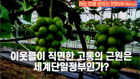 [한밝HB NEWS] 이웃들이 직면한 고통의 근원은 세계단일정부인가? 221022(토)