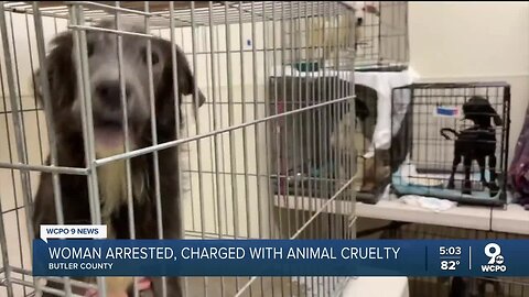Butler County animal rescue owner arrested after 30 dead dogs found in freezers