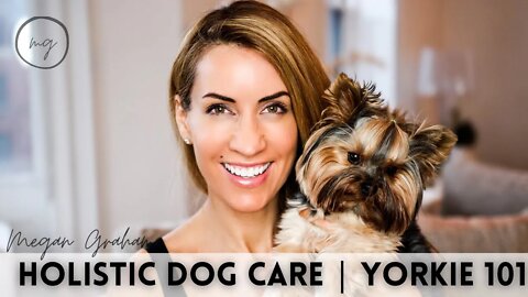 Holistic Dog Care | Yorkie Chat