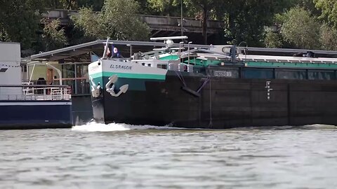 Seine swim training canceled again over pollution, current | REUTERS|News Empire ✅