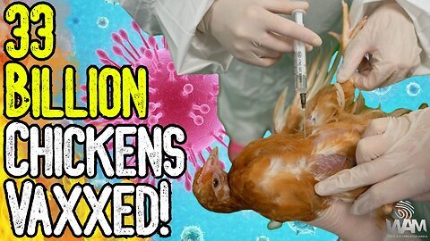 BIRD FLU HOAX: 33 BILLION CHICKENS VAXXED! - Avoid The Pharma Poisoned Food Supply