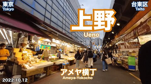 【Tokyo】Walking in Ueno (2022.10.12)