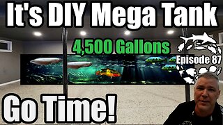 Building the Largest DIY Aquarium I have ever Attempted!