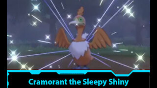 Pokemon Sword - Shiny Cramorant the Sleepy Reaction