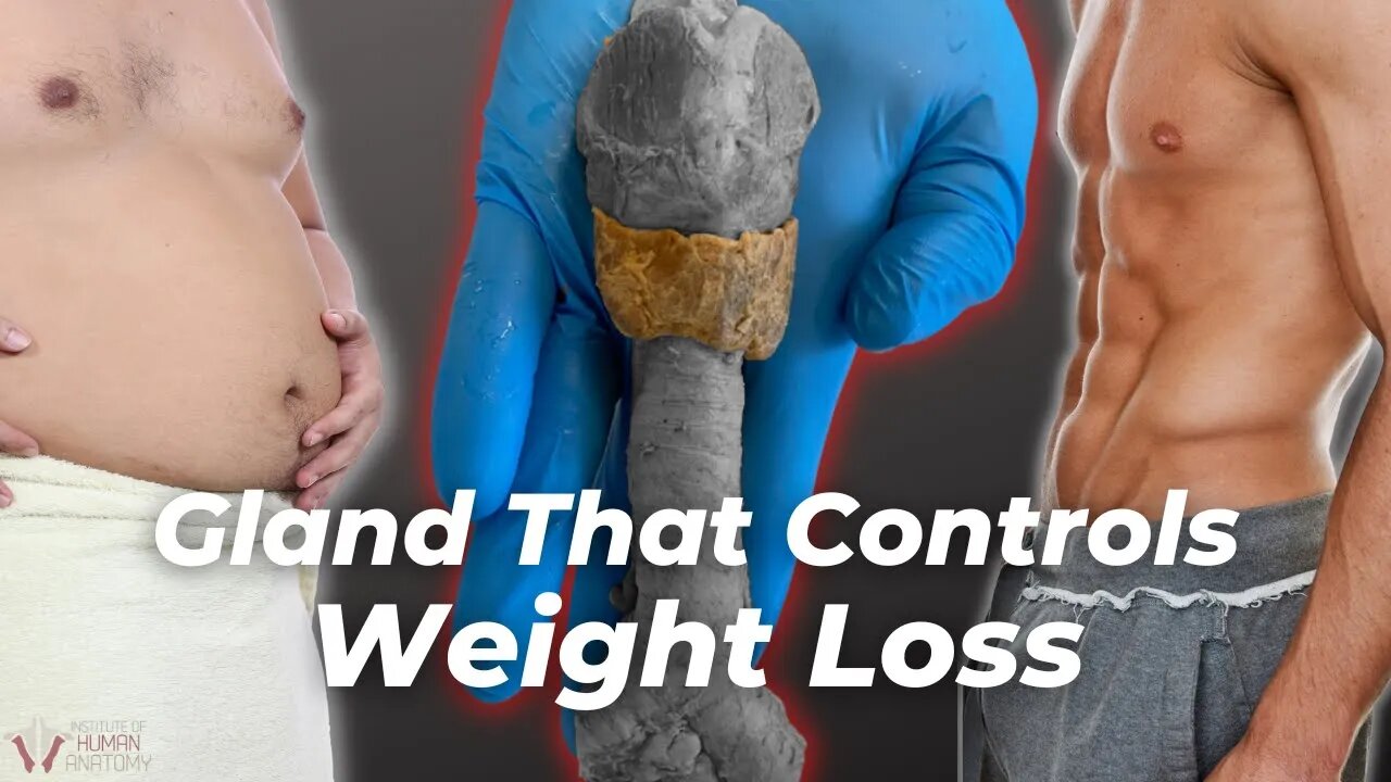 Sex, Fat, & Weight Loss | The Gland That Controls It All