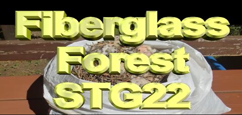 Fiberglass Forest - Attempted Murder