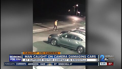 Man caught on camera damaging cars in Kingsville