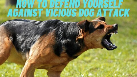 HOW TO DEFEND YOURSELF AGAINST VICIOUS DOG ATTACK