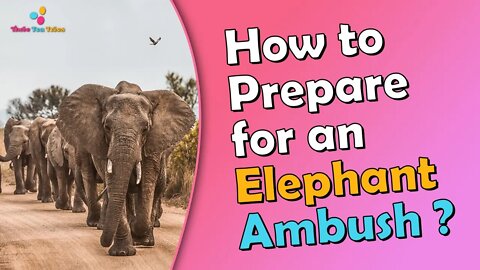 🔥 Survival Elephant Attack : When I Saw the Wild Elephants, I Fled 🔥 #elephant