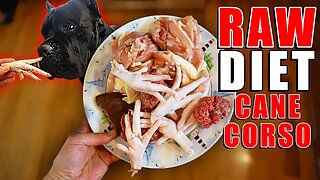 Cane Corso's RAW Diet