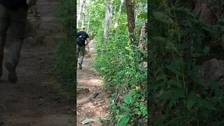 Hiking on Appalachian Trail in North Georgia!