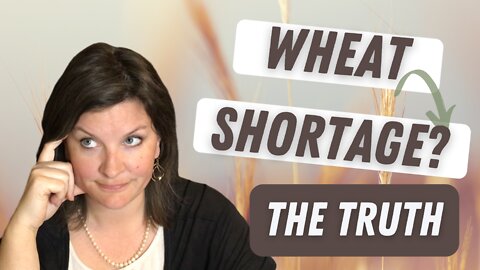 Is There a Wheat Shortage? | How Can We Prepare for Shortages and Rising Prices? | Prepper Pantry