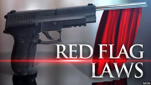 Red Flag Gun "Laws": The Result Of Treasonous Senators, Governors & Presidents